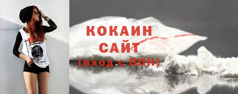 COCAIN FishScale  где купить   Каменск-Шахтинский 